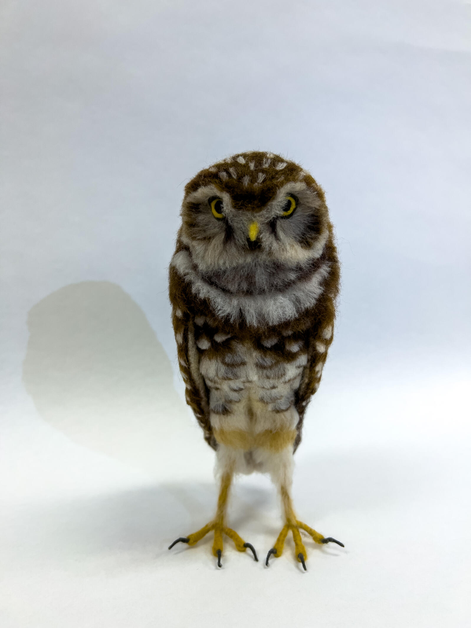 Burrowing Owl sculpture made of wool against a white background