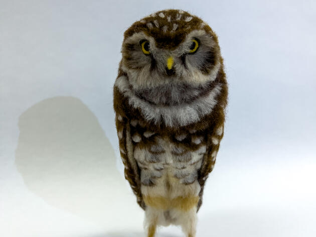 Burrowing Owl Sculpture Carries Message of Southwest Birds at Risk