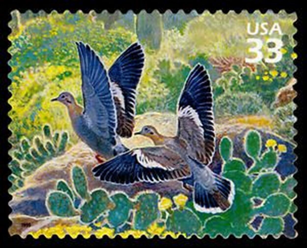 postage stamp with two white winged doves with a desert background