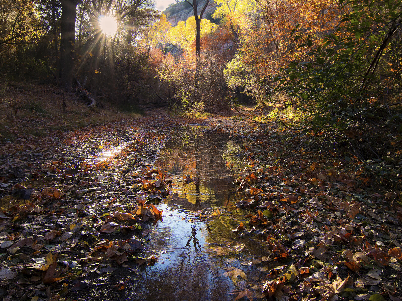 A sunny fall morning on Arizona's Turkey Creek